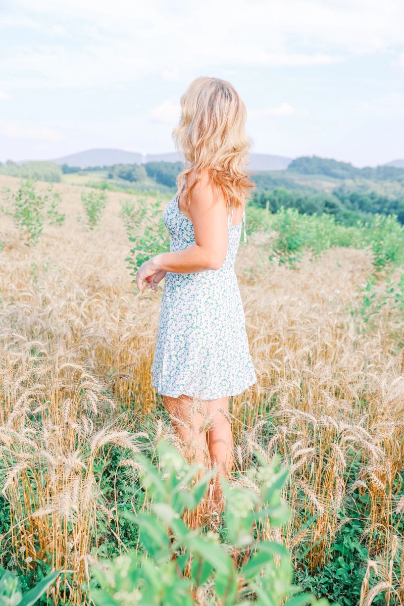 Summer photograph 6