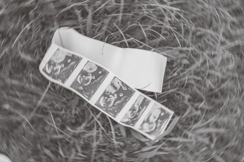 The Hughes' photograph 21