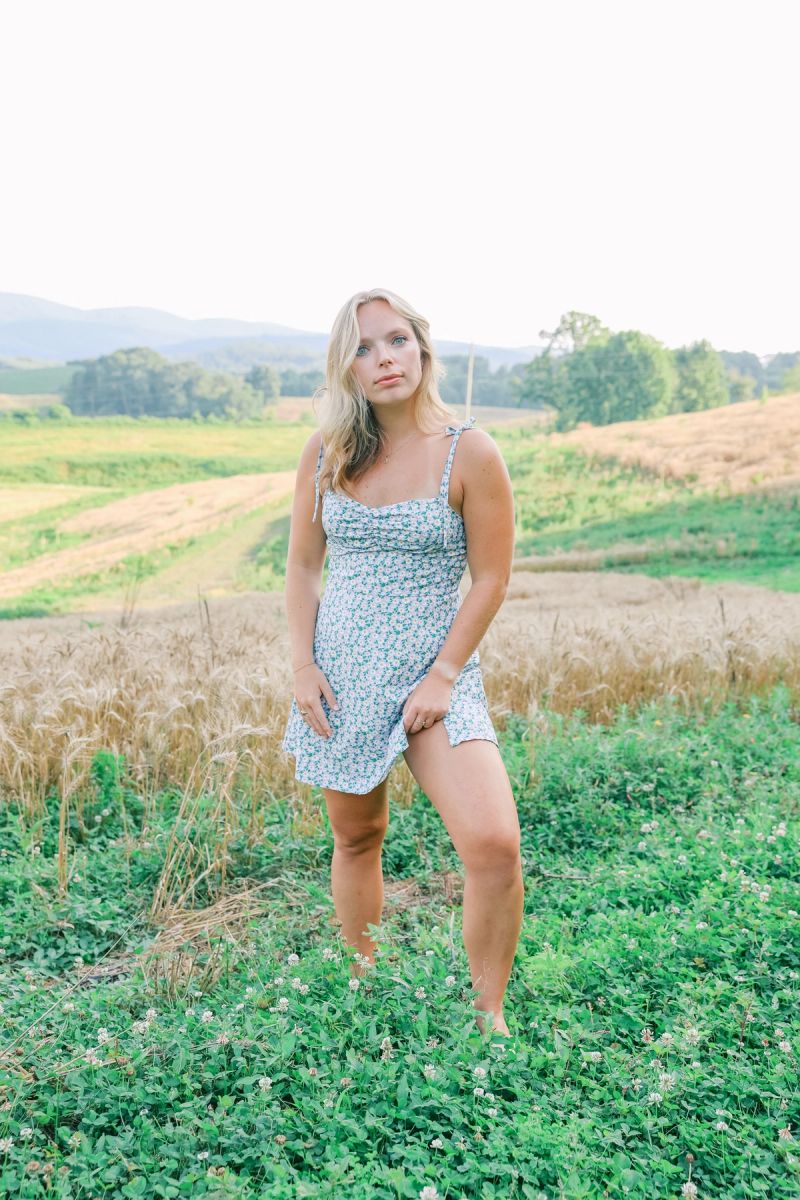 Summer photograph 23