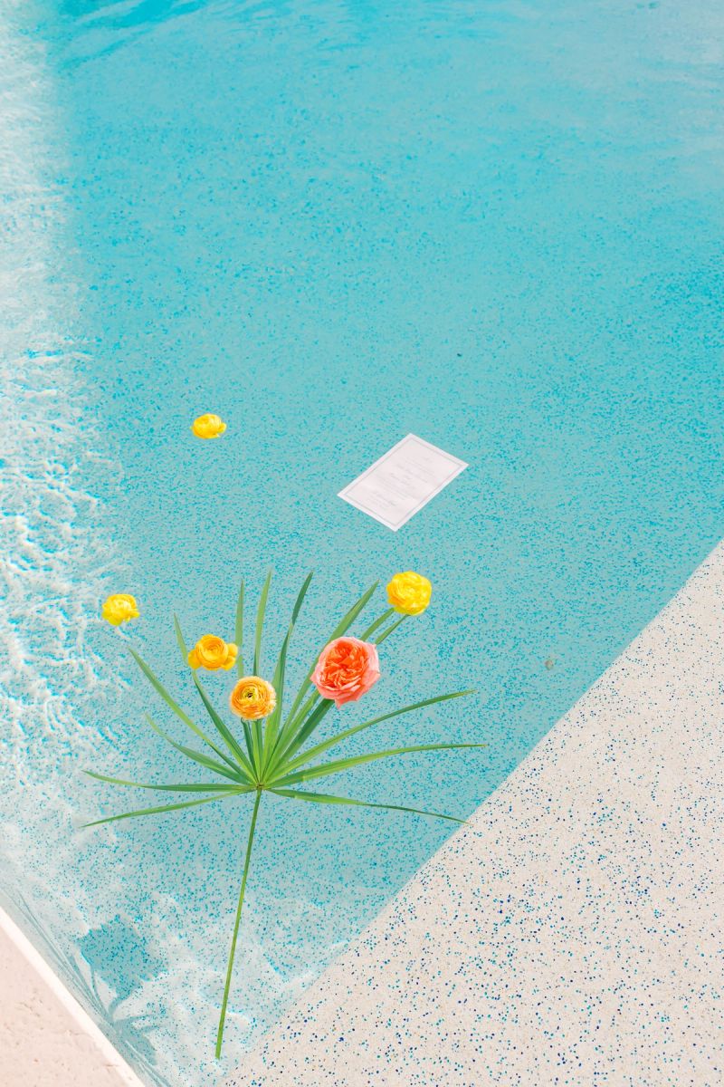 The Joy's  photograph 57