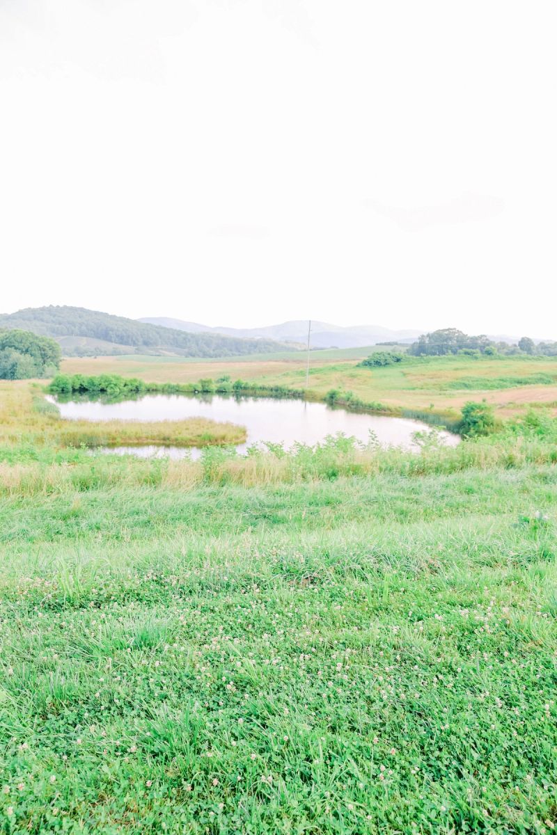 Summer photograph 27