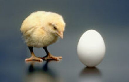 先有鸡还是先有蛋?