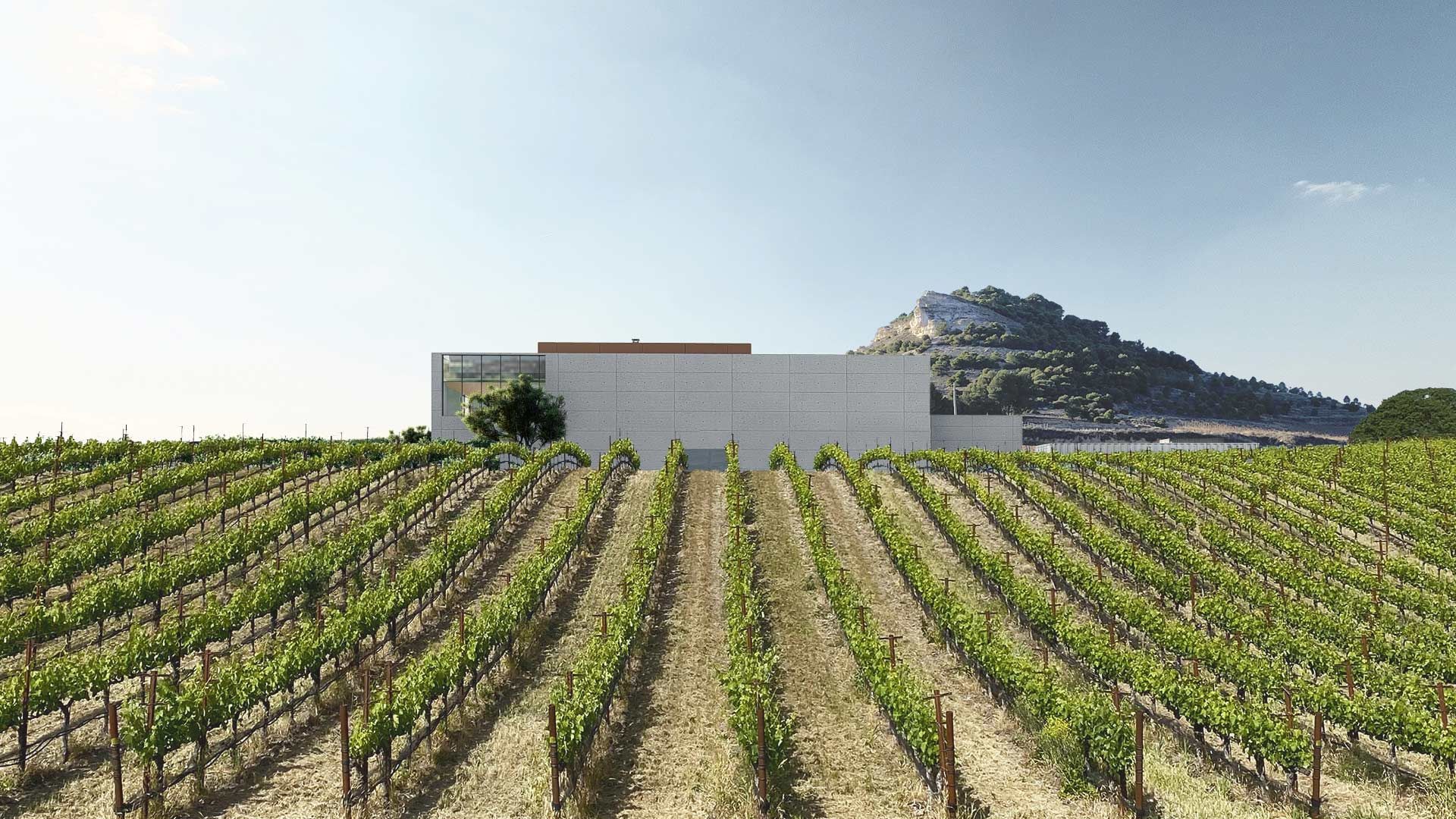 Bodegas Casa Rojo Ribera del Duero - Imagen 5