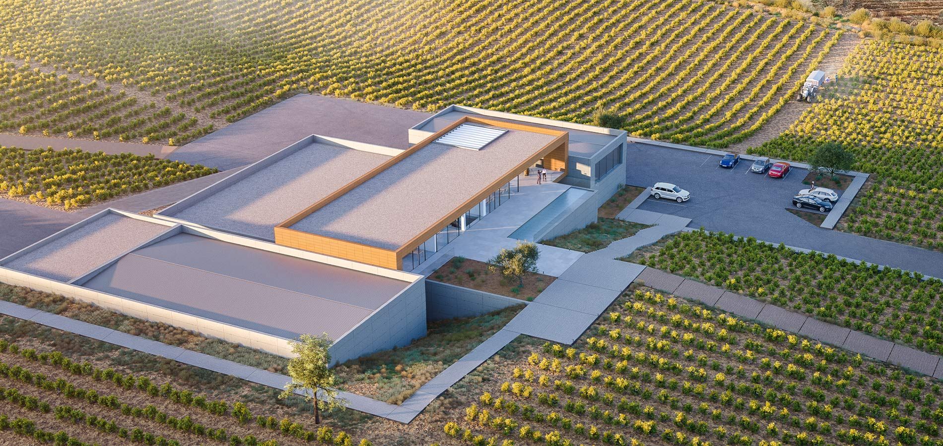 Bodegas Casa Rojo Ribera del Duero - Imagen 4