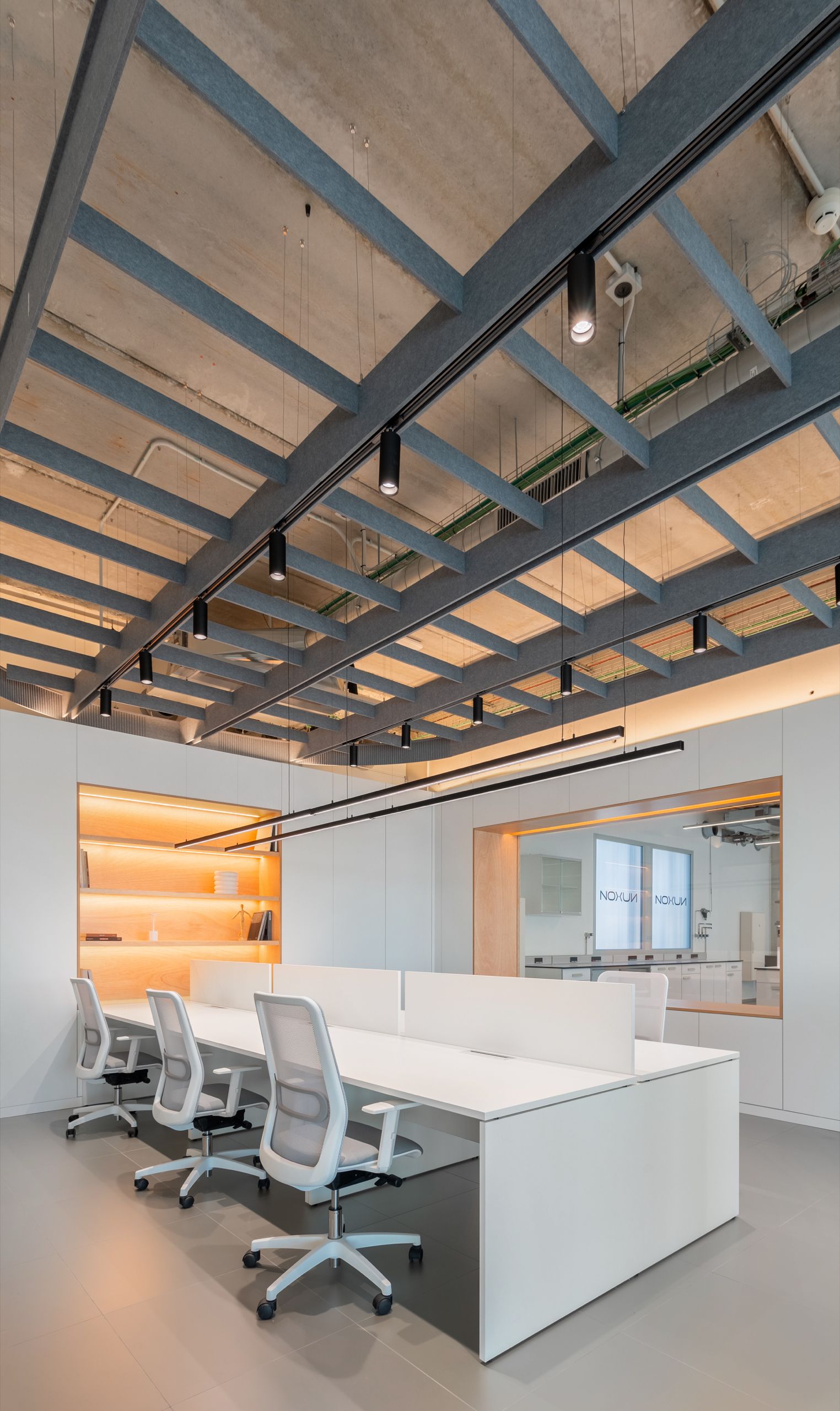 Noxun Laboratories - Imagen 3
