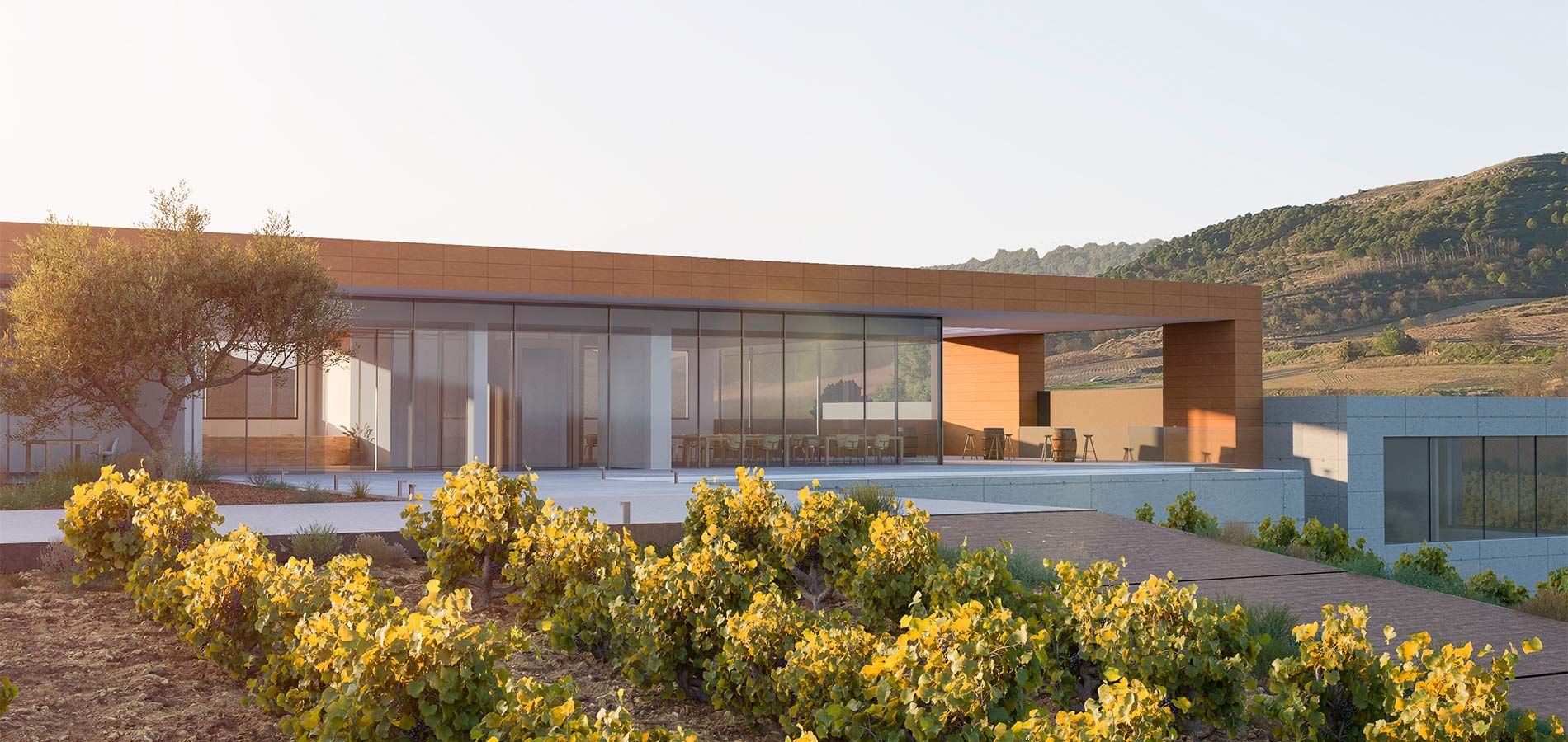 Bodegas Casa Rojo Ribera del Duero - Imagen 2