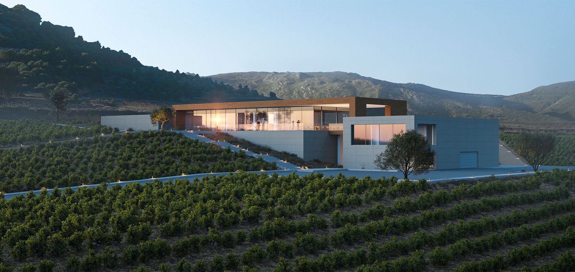 Bodegas Casa Rojo Ribera del Duero - Imagen 3