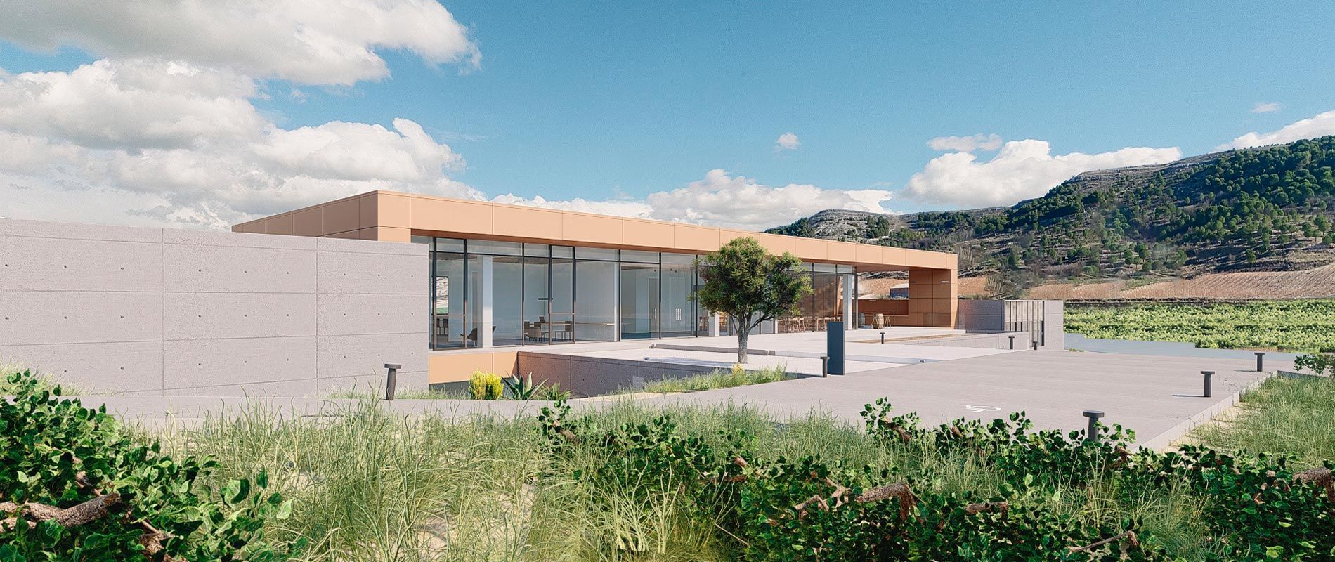 Bodegas Casa Rojo Ribera del Duero - Imagen 6