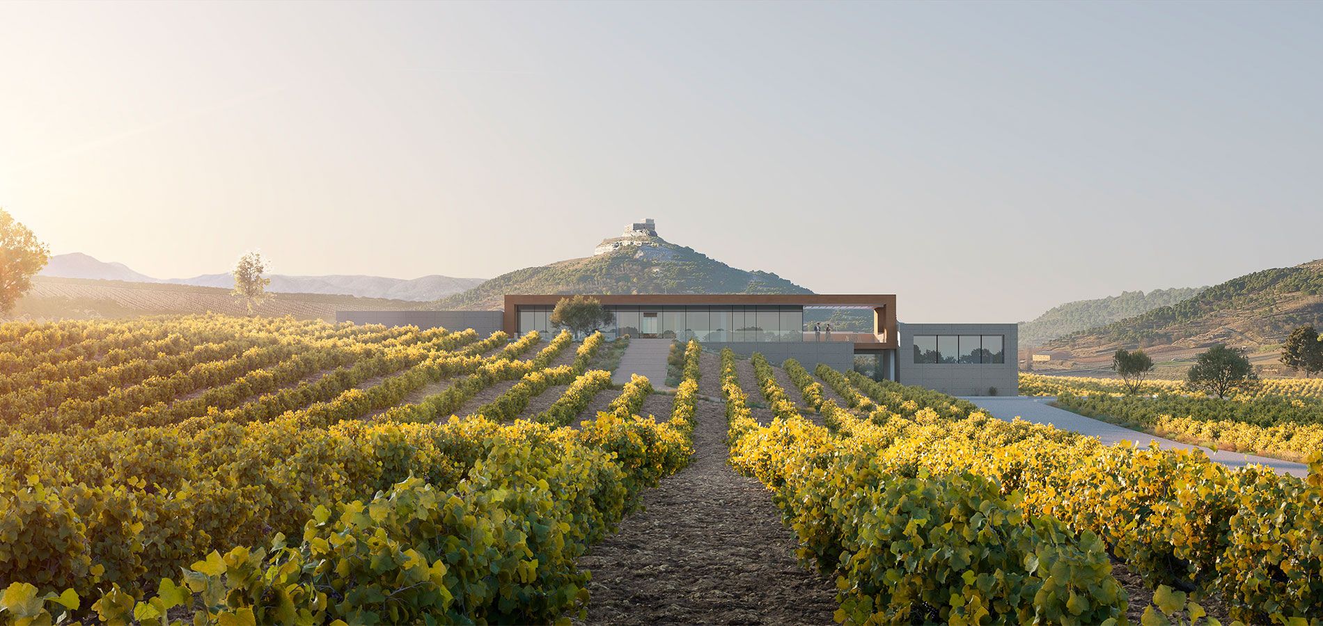 Casa Rojo Winery Ribera del Duero