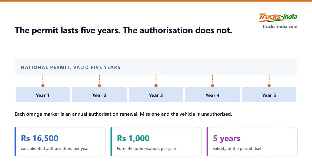 Timeline showing a national permit valid for five years with an annual authorisation renewal marked in each of the five years