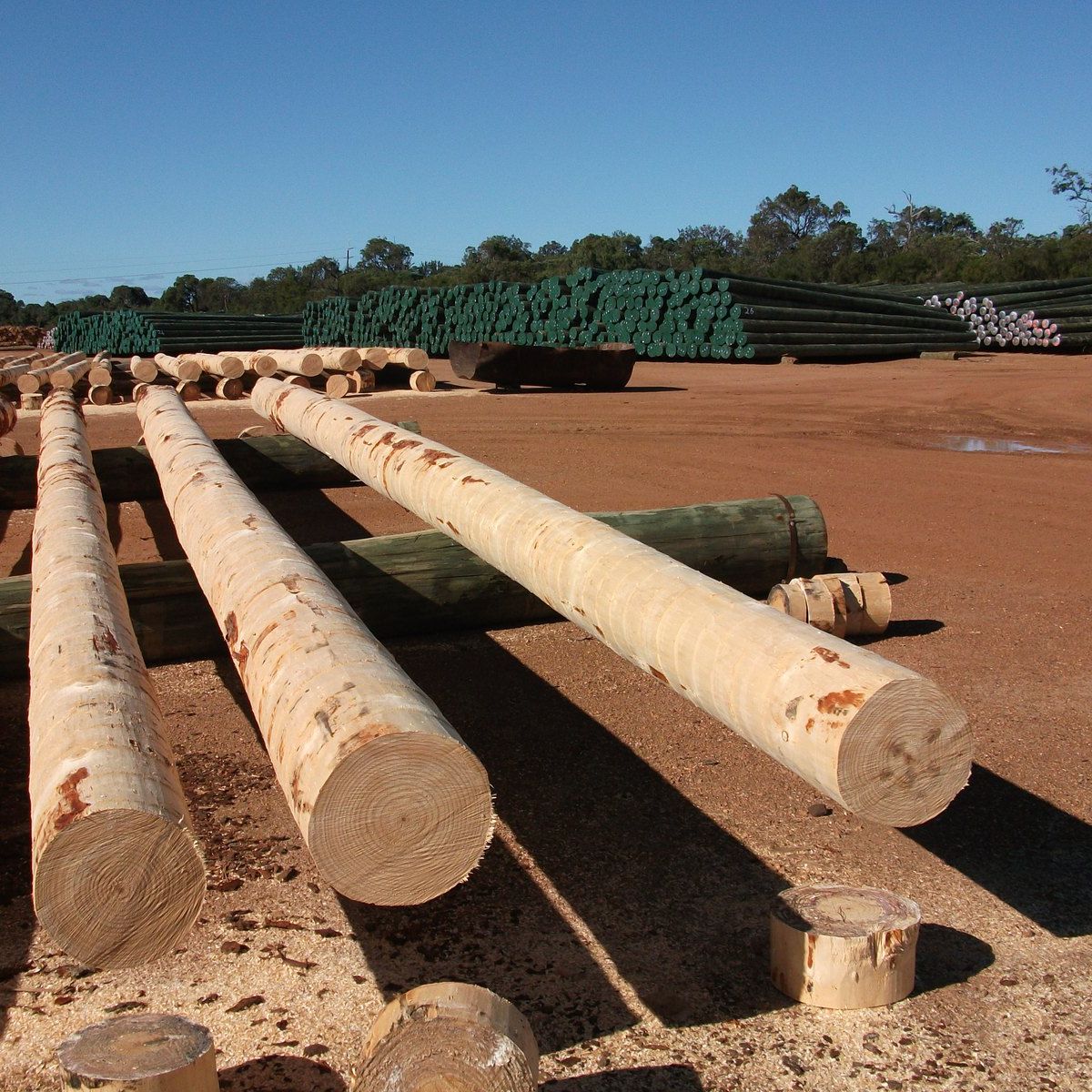 Treated Utility Poles