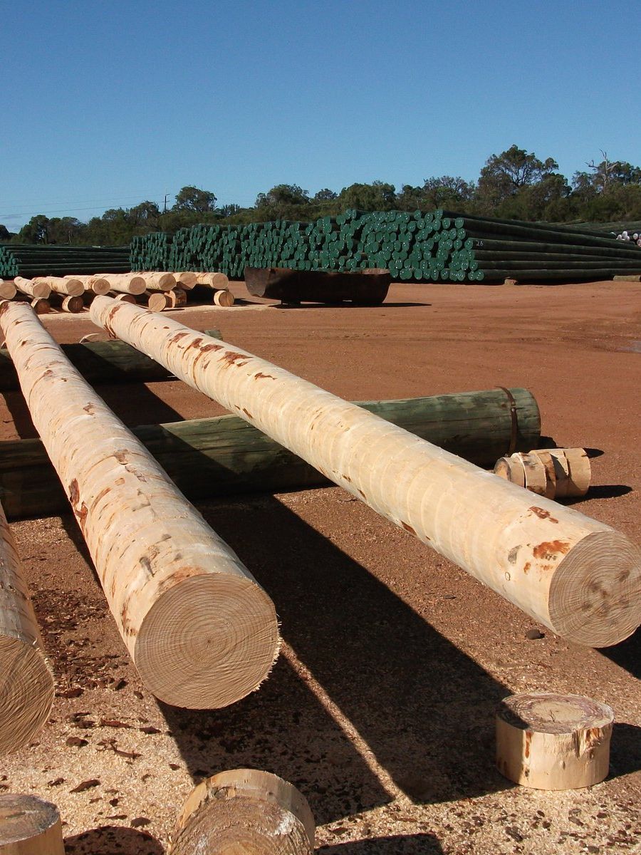 Treated poles stacked in the treating yard