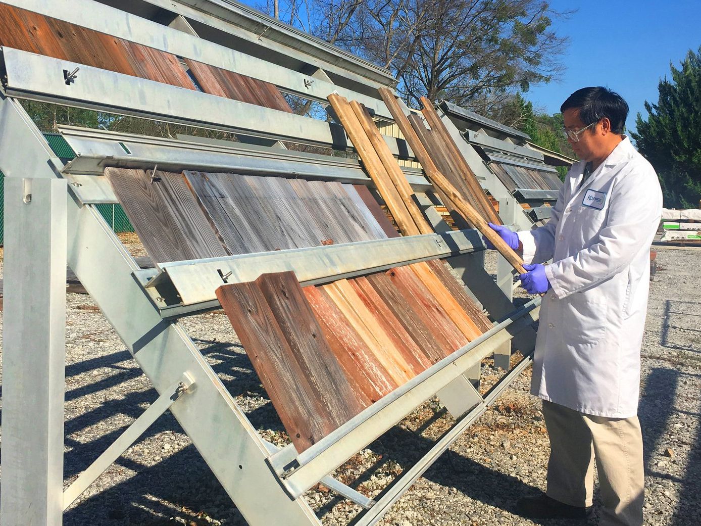 Treated timber samples on outdoor exposure test racks