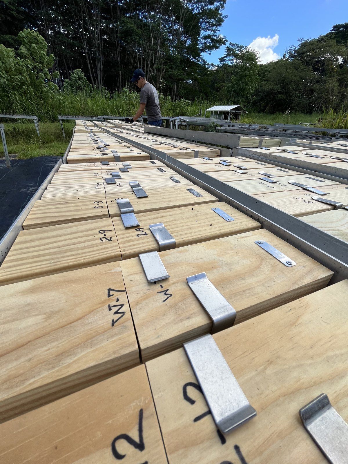 Numbered wood samples on outdoor exposure racks