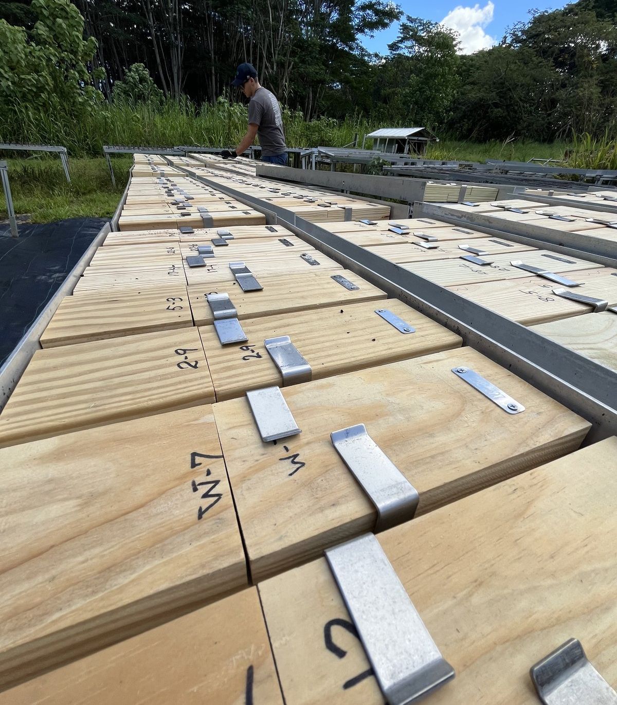 Numbered wood samples on outdoor exposure racks