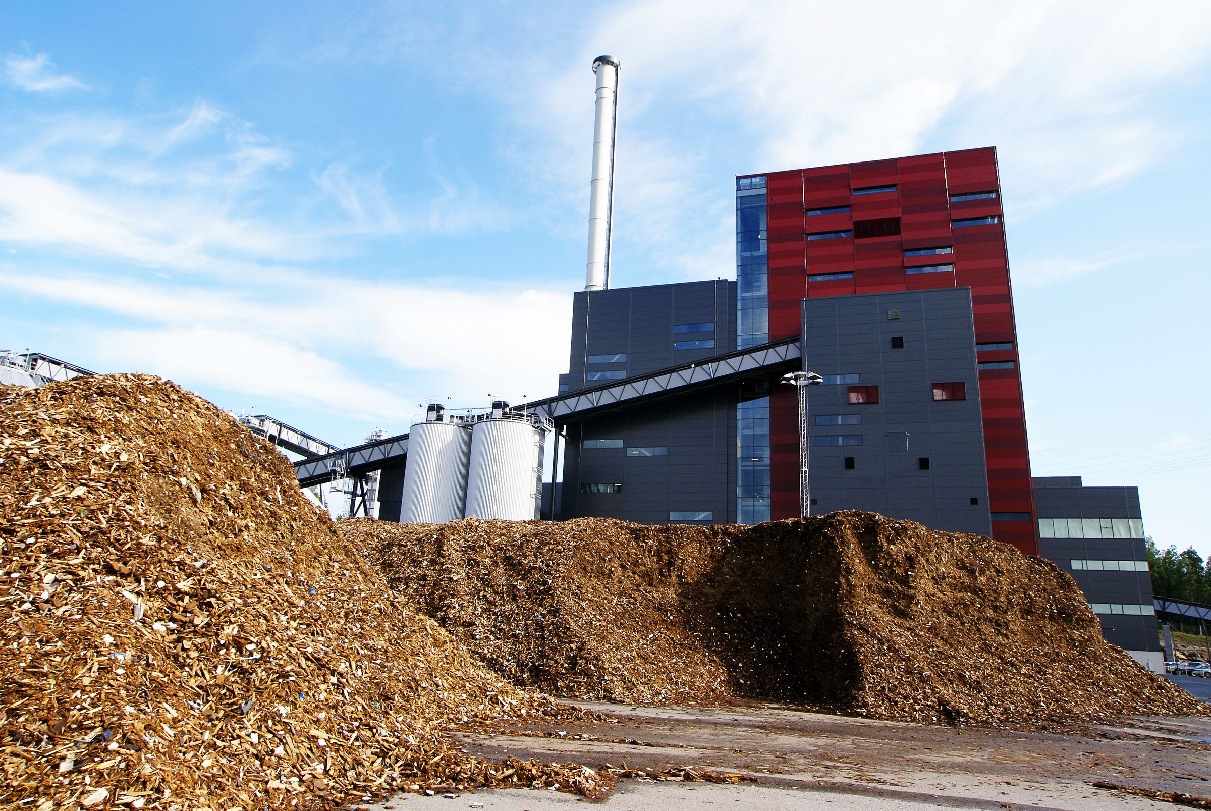 Wood chips next to plant