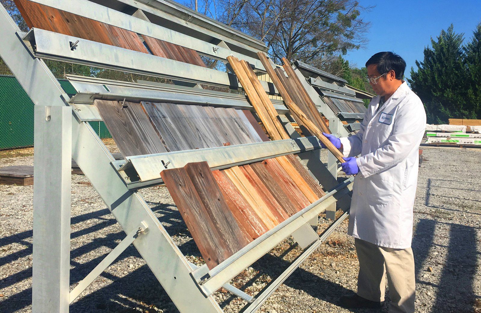 Koppers technician inspecting weathered wood test samples