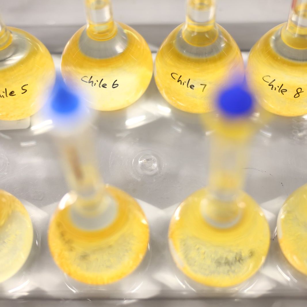 Labelled sample flasks in the Koppers laboratory