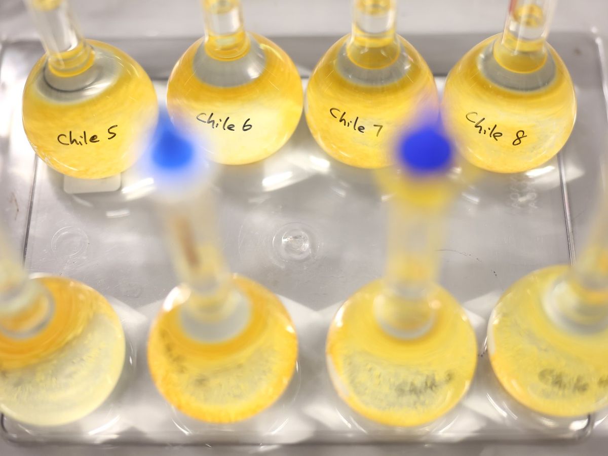 Preservative samples staged for formulation work