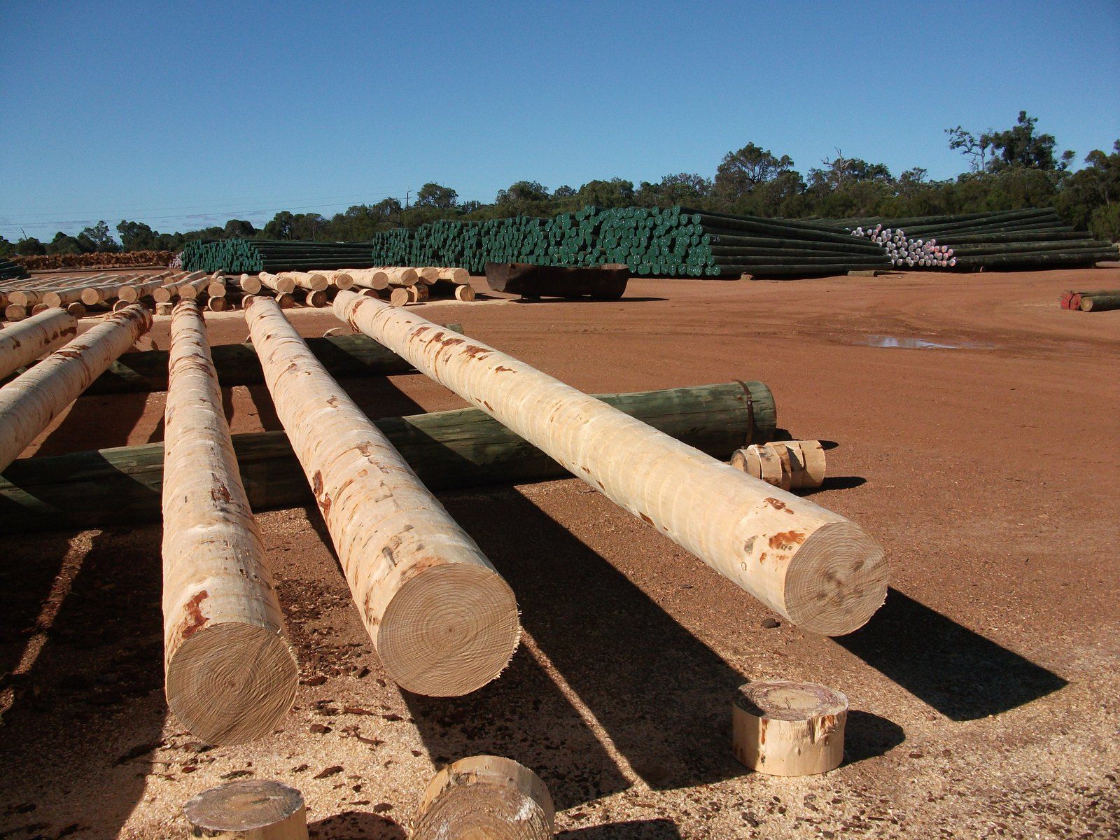 Treated poles stacked in the treating yard
