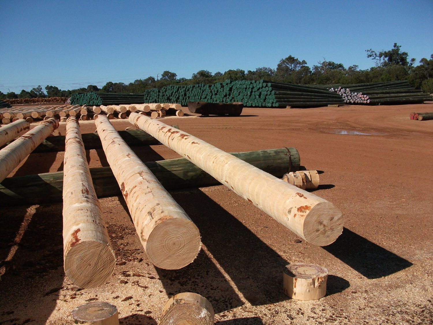 Treated poles stacked in the treating yard