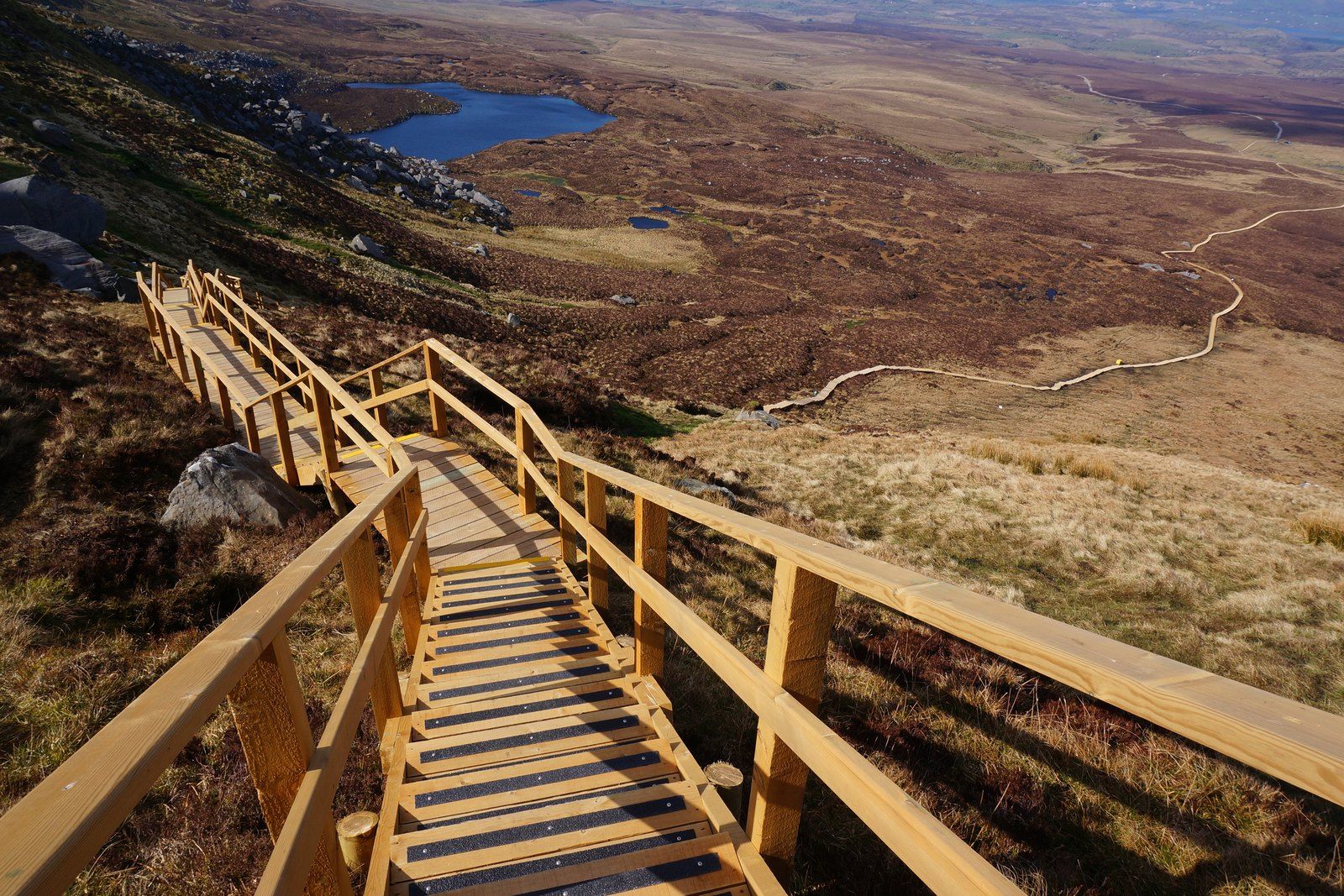 Freshly treated lumber stacked at a Koppers preservation facility