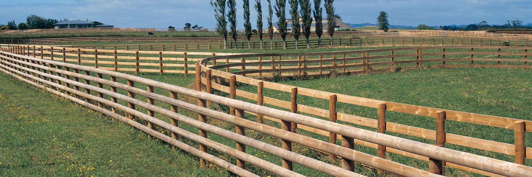 LifeWood Treated Fencing