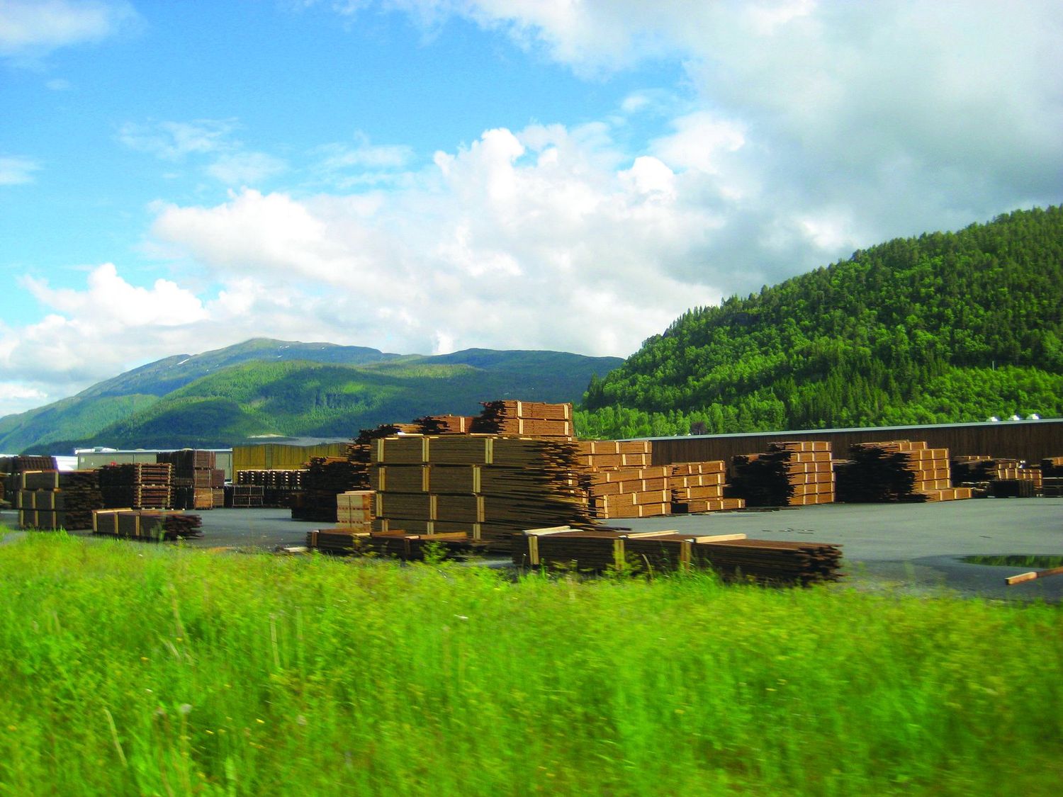 Stacks of treated lumber in a yard below green mountains