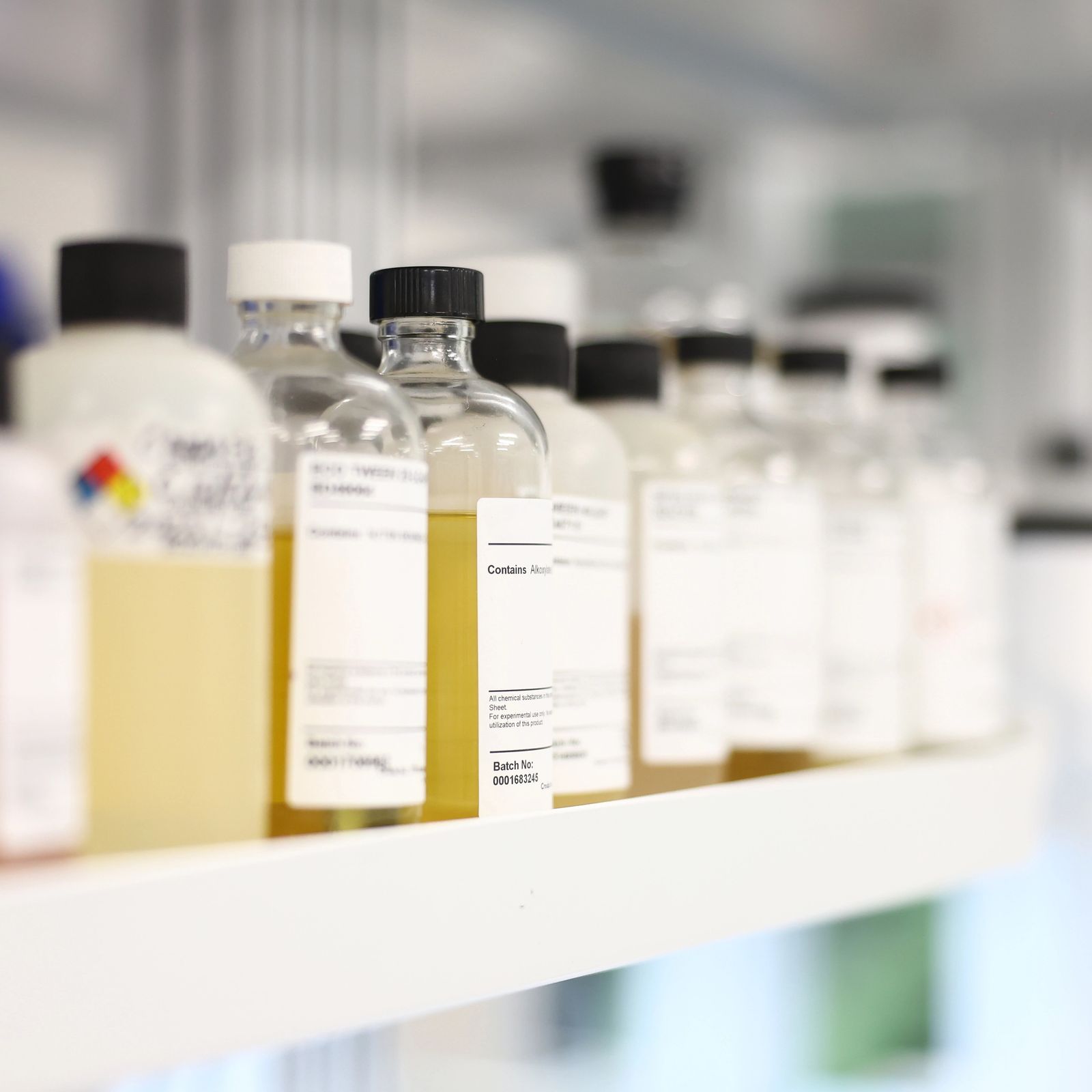 Preservative samples lined up on the laboratory bench