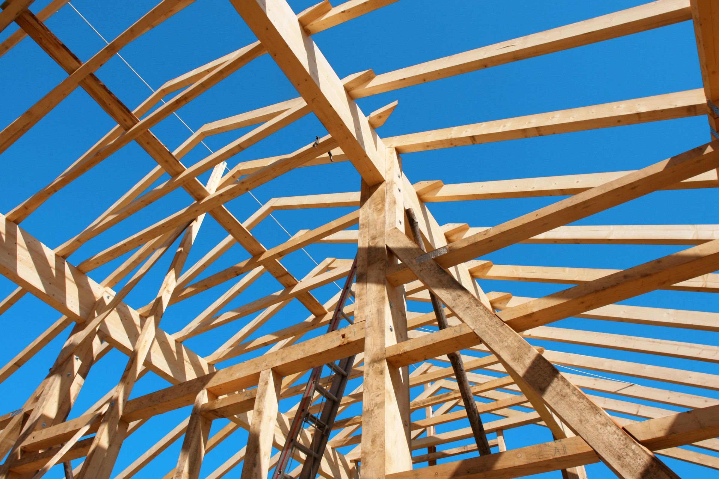 Hi-Bor Treated Rafters