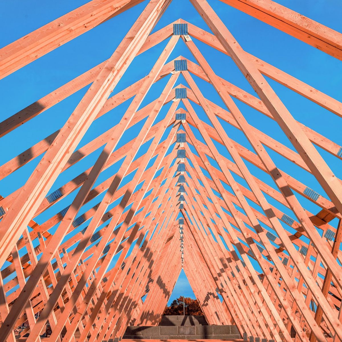 FlamePro treated rafters