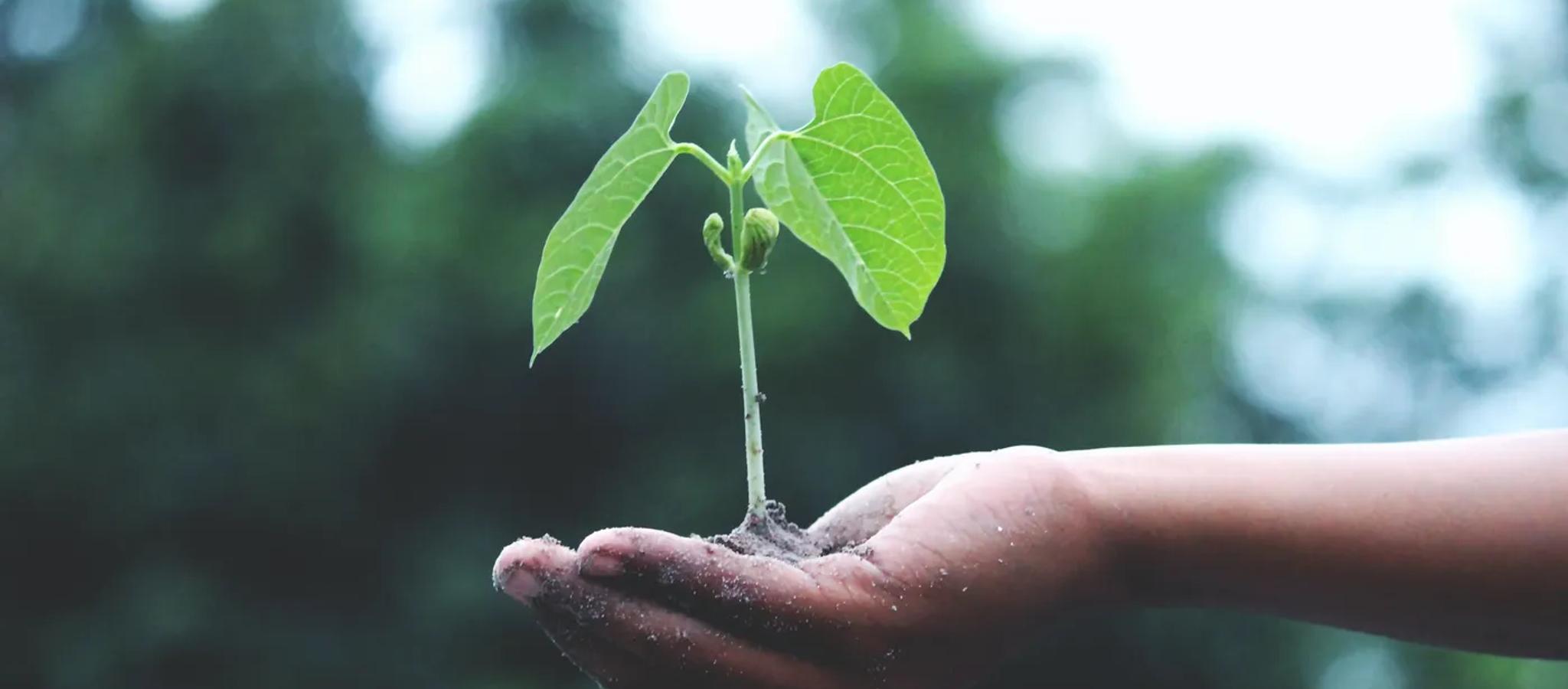AVC Pensions in Ireland: How They Work, Benefits For Your Team