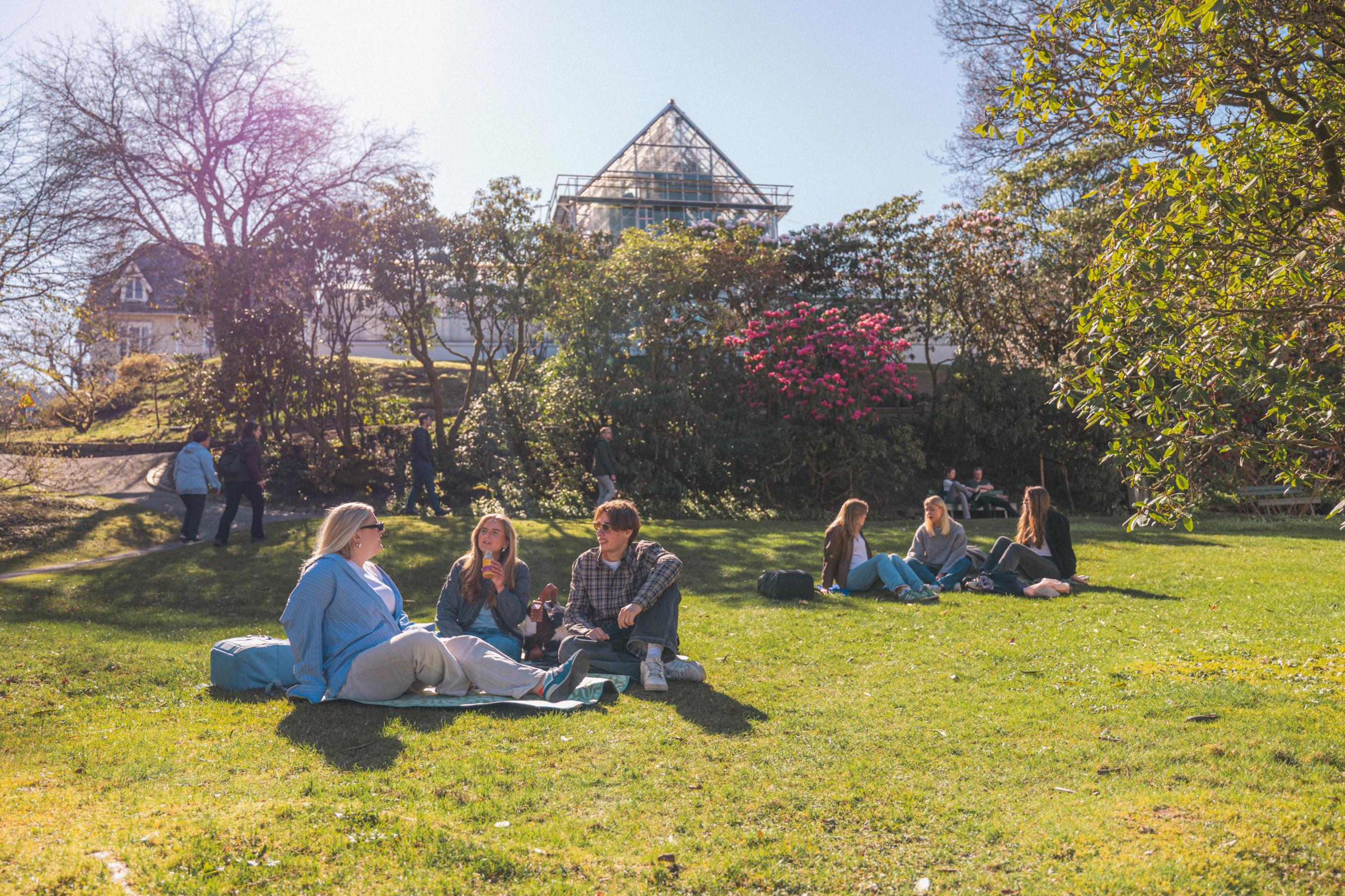 Studenter sitter på gresset i en solfylt park og prater sammen, med trær, blomster og et glasshus i bakgrunnen.