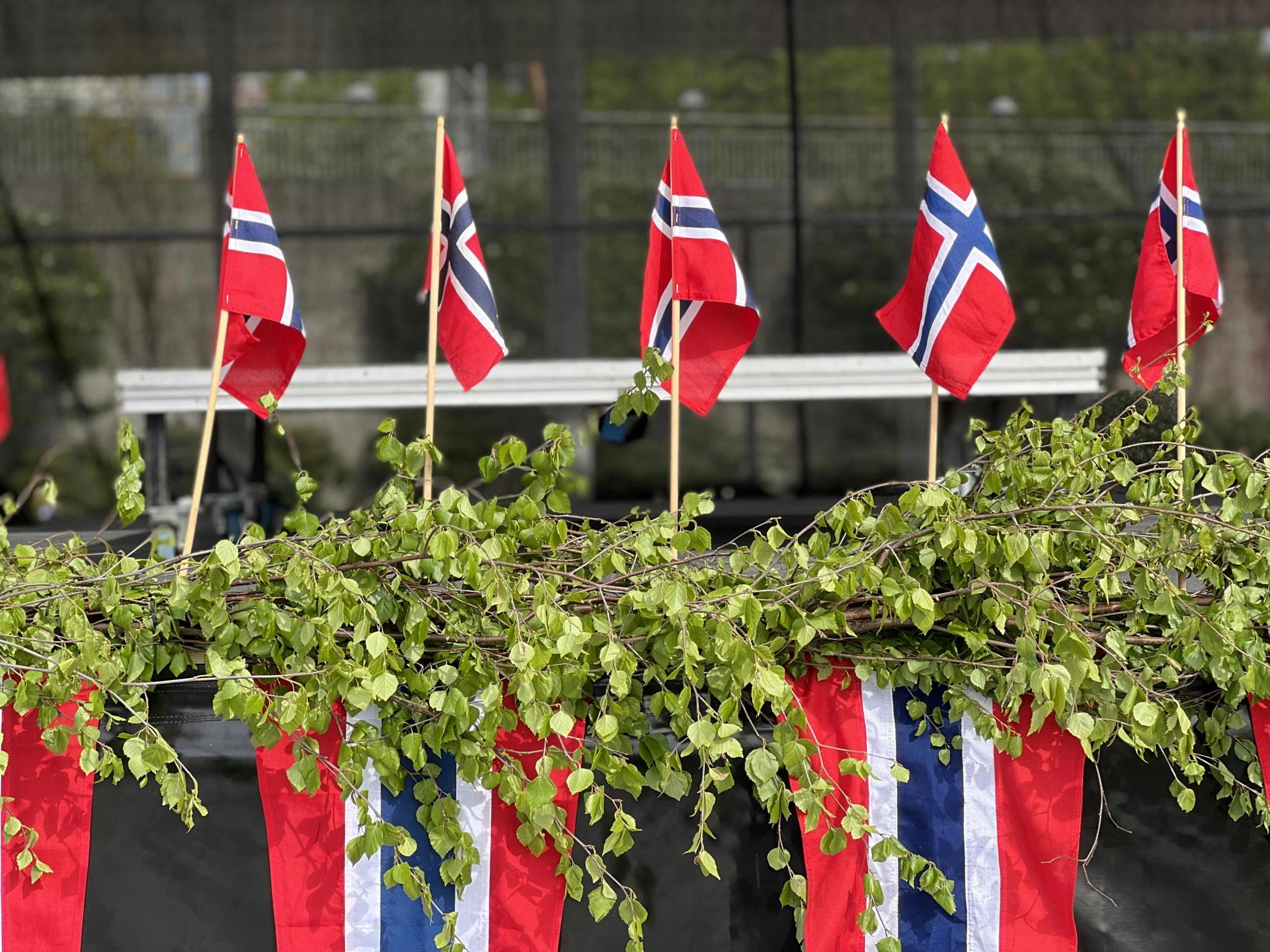 Flere norske flagg på små stenger står bak en grønn bjørkeris-dekorasjon, med større norske flagg hengende nedenfor, som gir et festpreget inntrykk.