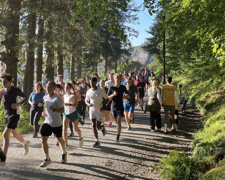 En stor gruppe mennesker løper langs en grusvei i en grønn skog på en solrik dag. Noen går motsatt vei, mens sola skaper lange skygger mellom trærne.