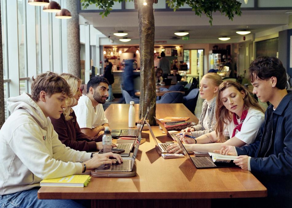 En gruppe studenter sitter rundt et langt trebord på et bibliotek eller campuskafé, jobber på hver sin laptop og samarbeider mens de studerer.