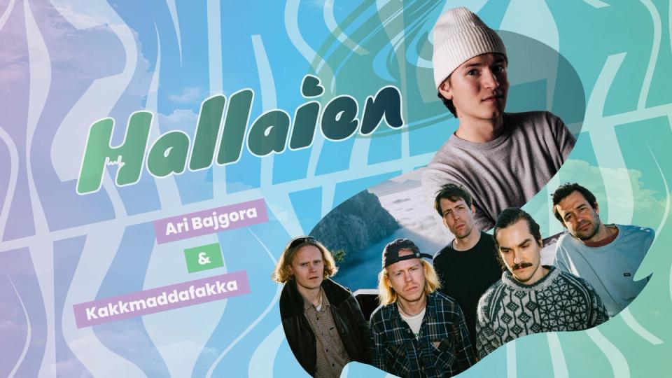 Fargerik plakat for arrangementet «Hallaien» med portretter av en ung mann i lue øverst og bandmedlemmene i Kakkmaddafakka foran et fjordlandskap, samt teksten «Ari Bajgora & Kakkmaddafakka».