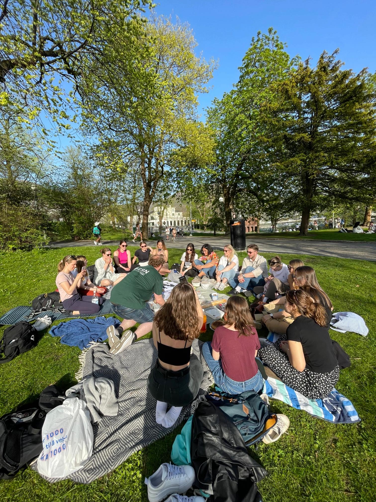 En stor gruppe unge mennesker sitter på tepper og har piknik i en grønn park på en solrik dag, omgitt av trær med friske vårblader.