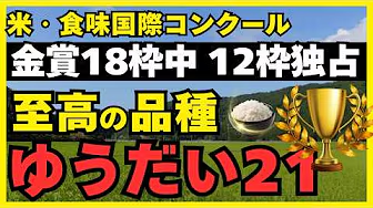 コシヒカリ一強の終焉。計算では作れない「巨大稲」。世界一の評価を受ける美味しい米の秘密