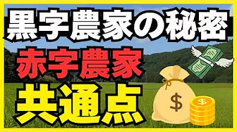 【農家必見】資材高騰に勝つ!明日から使える「お金をかけない」米作りテクニック