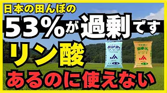 まだ肥料を買いますか?田んぼの「埋蔵金」を掘り起こせば、追肥はゼロでいい。