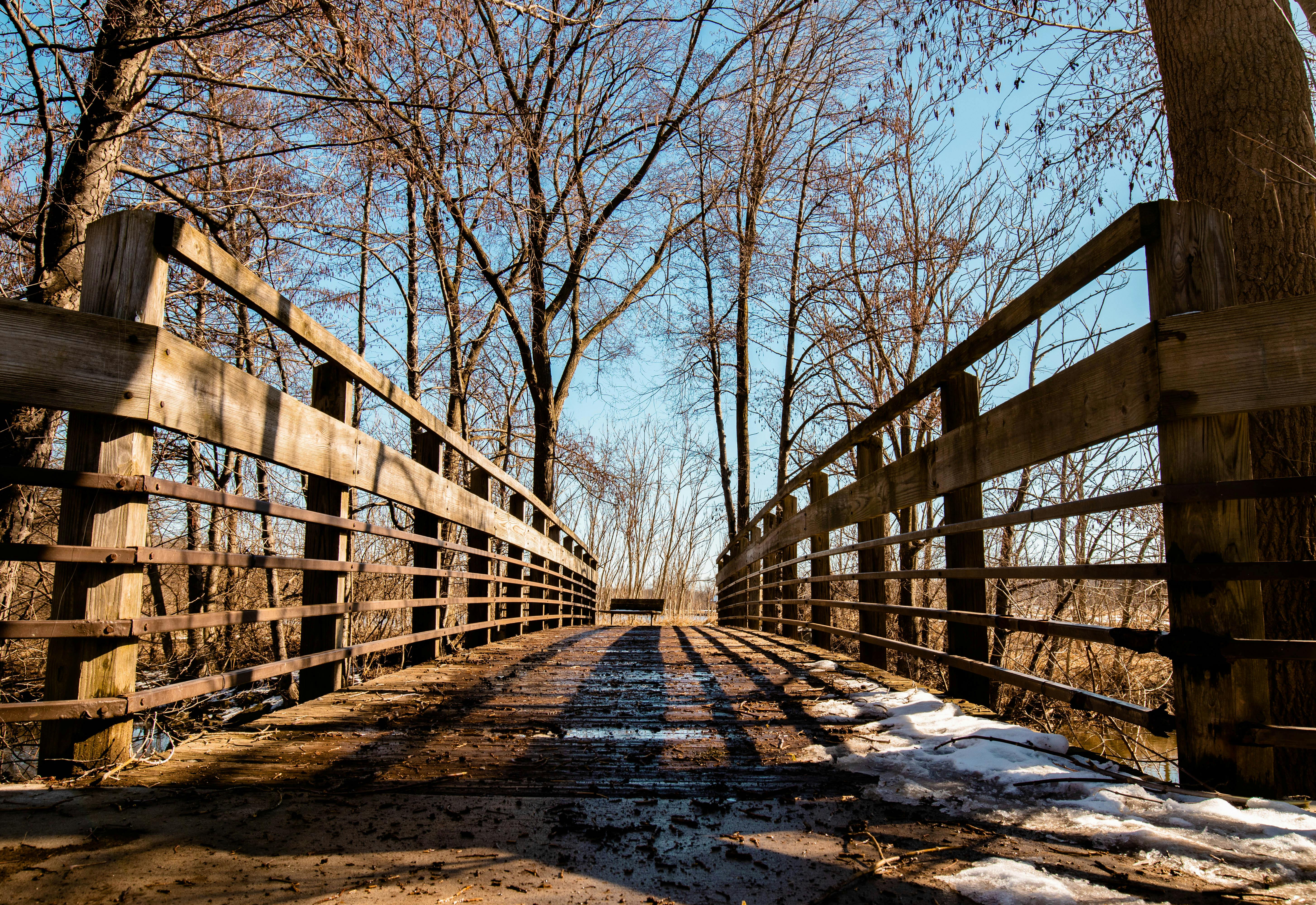A bridge in fall