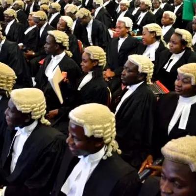 New lawyers