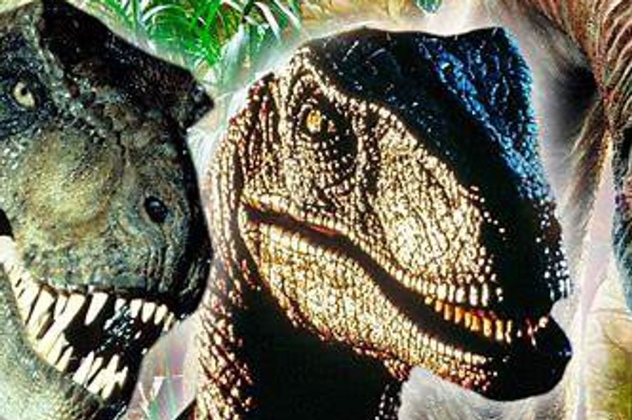 Fossiler fra dinosaurernes tid.