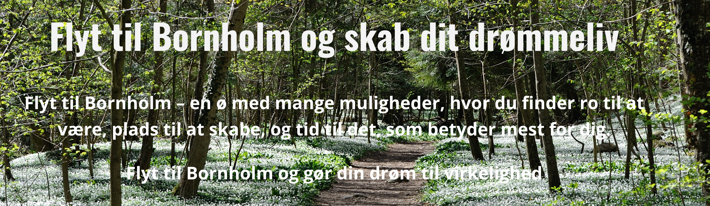 Tilflytterservice hjælper dig videre på Bornholm