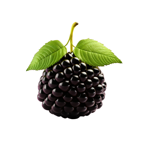 Blackberry