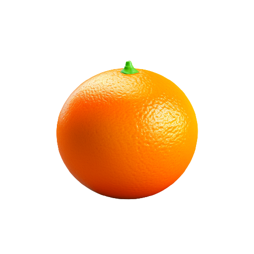Navel orange