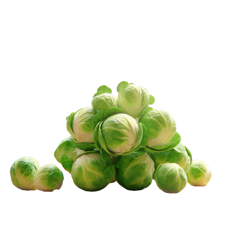 Brussel sprout