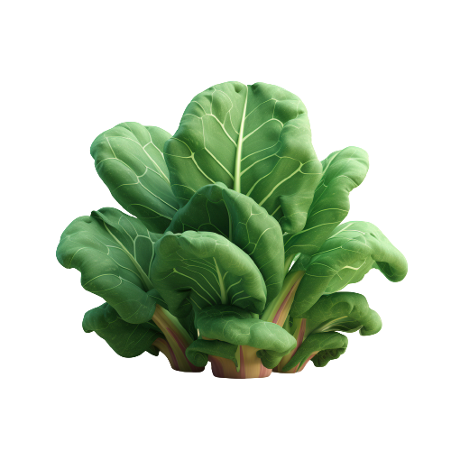 Collard