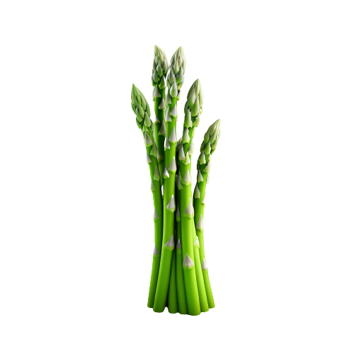 Asparagus